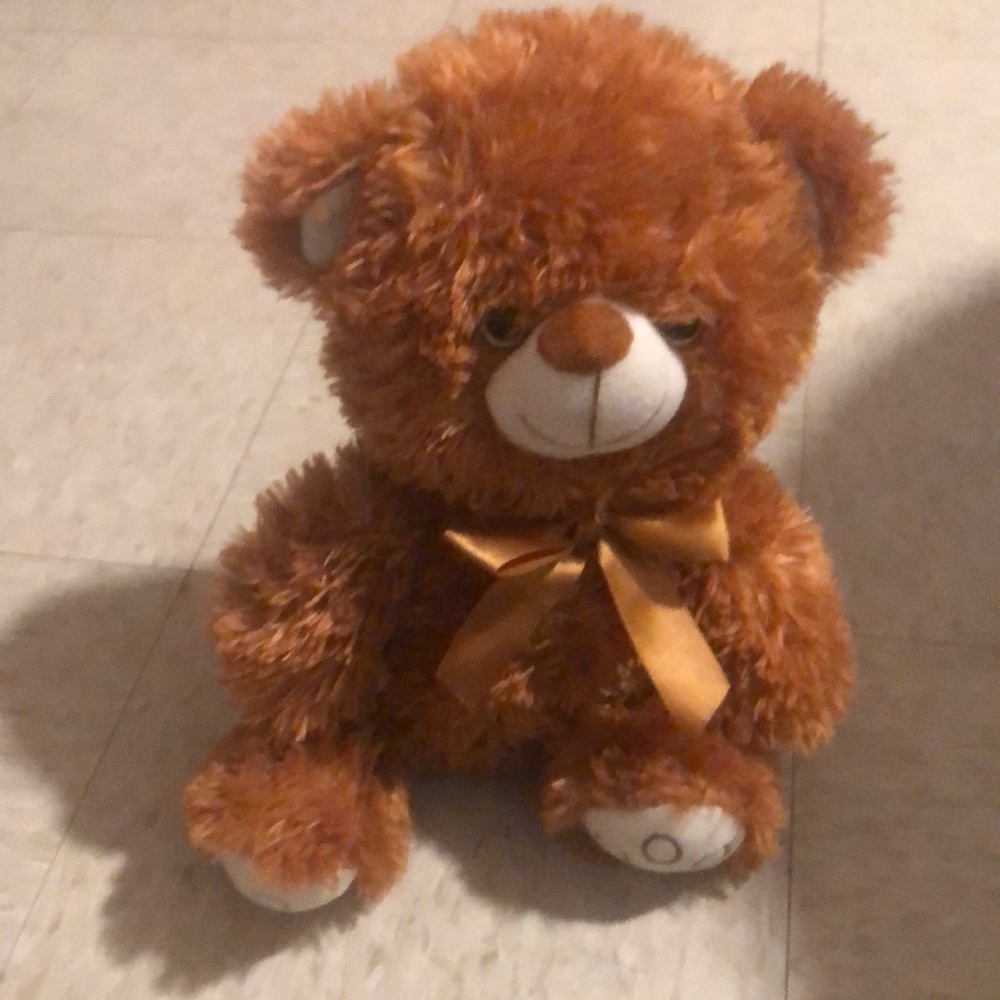 This is a stuffed animal called Teddy, it is very beautiful and comfortable!!